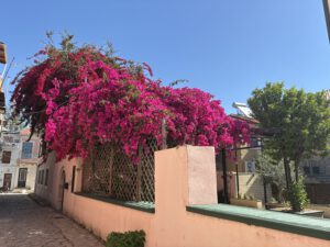 Preveza